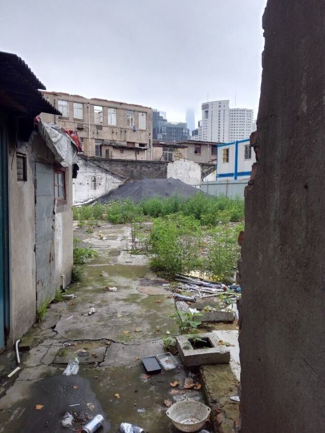 照片