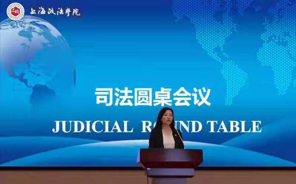 “司法圆桌会议”国际研讨会举行