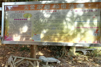 图片6